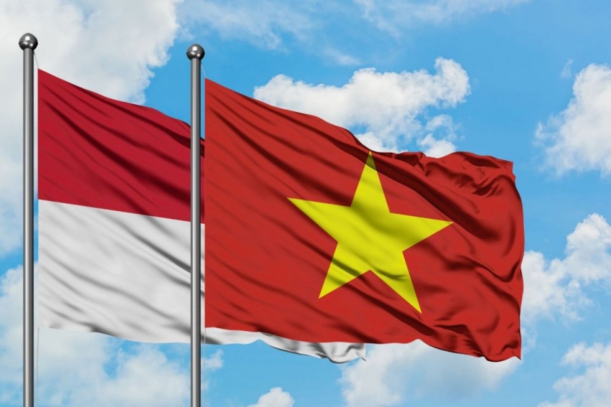 Vietnam, Indonesia can work together to become regional economic locomotives